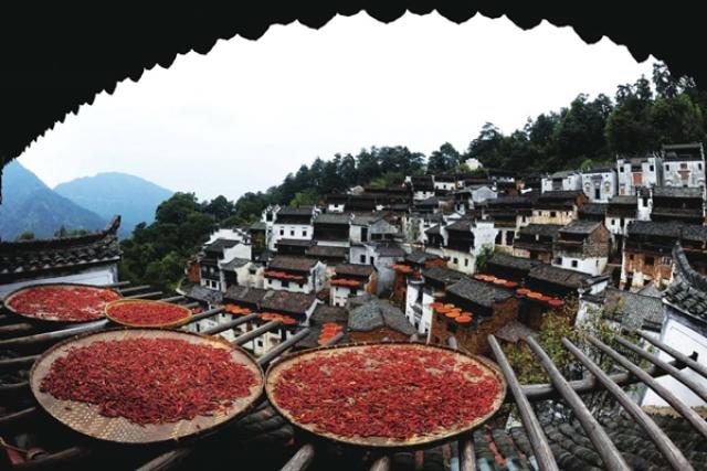 钱能钱包